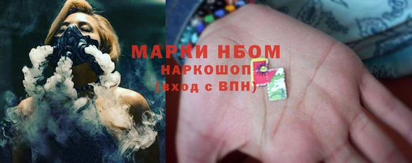 СК Бронницы