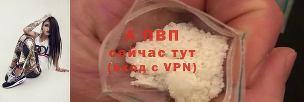 СК Бронницы