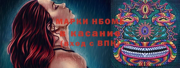 СК Бронницы