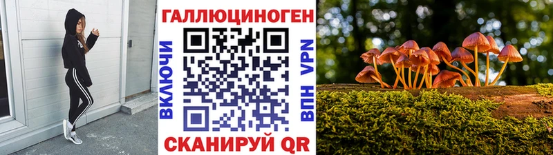 Псилоцибиновые грибы Psilocybe  kraken маркетплейс  Славянск-на-Кубани 